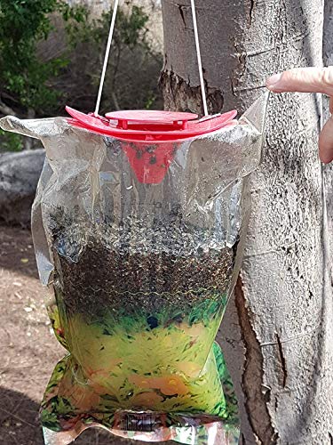 Bricoloco Trampa para Moscas con Cebo Potente atrayente sin Veneno. Pack 2 uds. Anti Moscas Súper Efectivo atrapa hasta 50.000 Moscas. Fácil Uso. (2)