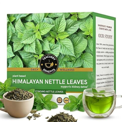 Image of Teacurry Himalayan Nettle Leaf Tea (30 Bags) - Supports Kidney Wellness, Pressure Balance, Digestion & Weight Management | Pure Herbal Tea