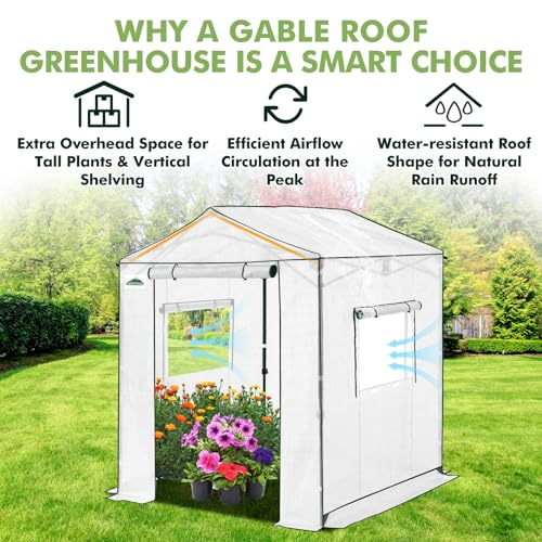 Image of EAGLE PEAK 6x6 Pop Up Walk in Greenhouse, Easy Setup, Gable Roof, White