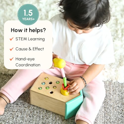 Image of Curious Cub Magnetic Bird Feeder, Montessori Magnet Toys for Kids | Wooden House Shape 2+ Years Kids Activity Toy, Improves Hand-Eye Reflexes, Colorful Educational Montessori Game for Toddlers