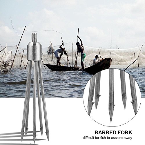 Dilwe Lance Harpon für Fische, 5 Zähne, mit Schraubenkopf, 8 mm, Langlebig, aus Edelstahl Fischereimittel – Bild 5