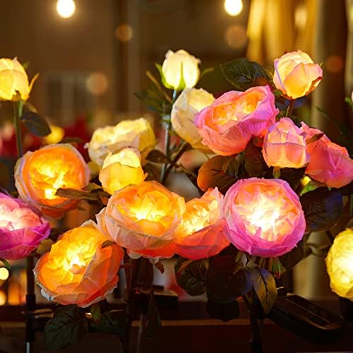 Brightown Solar Garden Lights - 4 Pack Solar Flowers Lights with Larger & More Realistic Austin Rose, Bigger Solar Panel, Solar Lights for Outside Waterproof for Yard Patio Garden Decoration