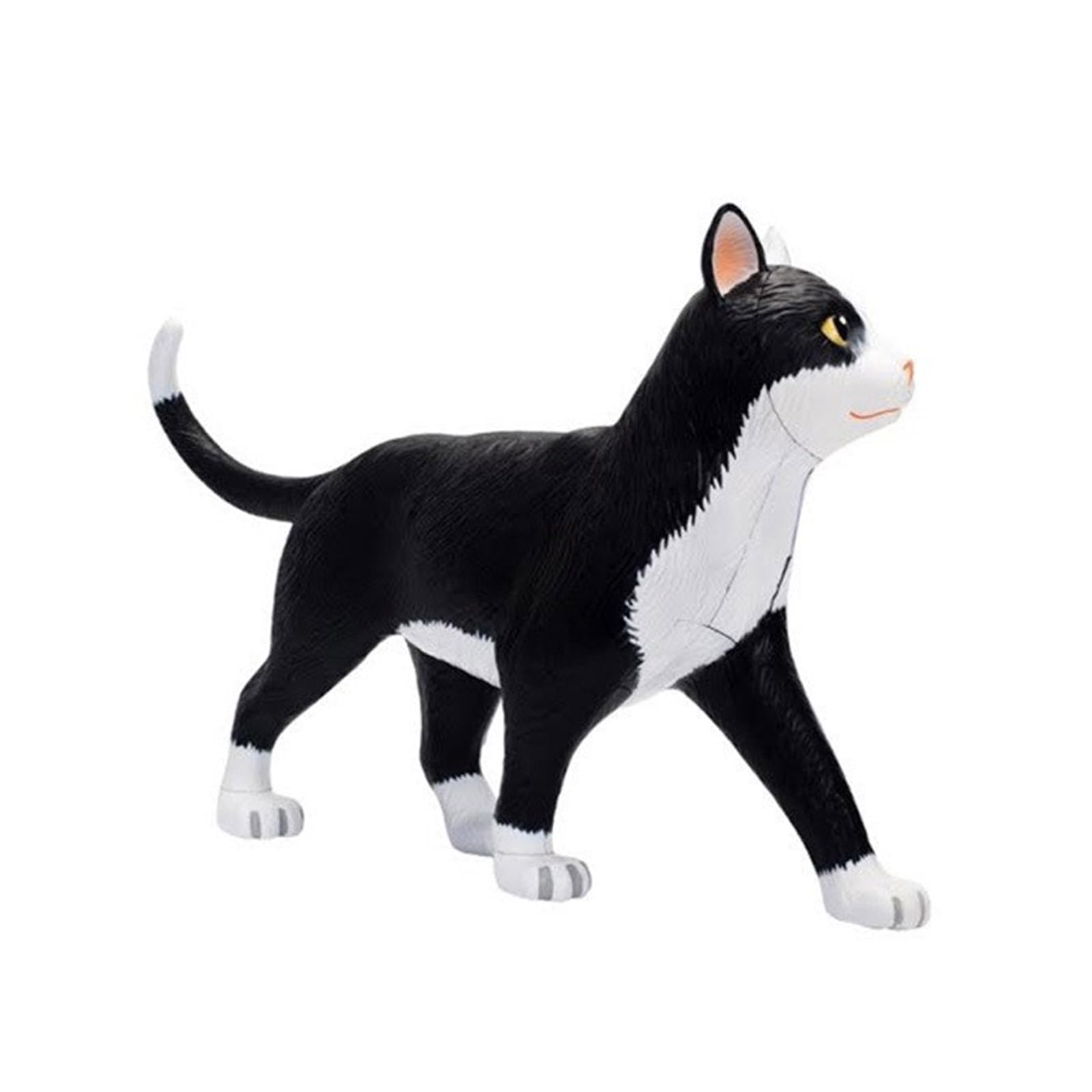 4D Katzen Anatomie Modell Anatomie Anatomie Black White Intelligence Zusammenstellen Spielzeugunterricht Vorräte Für Die Schule