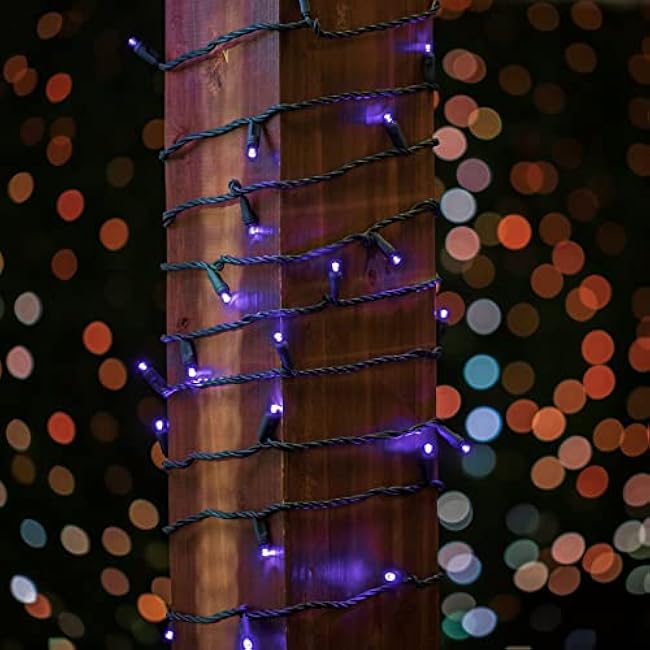 Novelty Lights 25ft 50 LED Purple Christmas Lights Outdoor/Indoor, 6 Spacing, Green Wire String Lights for Festive Xmas Lighting, IP55, UL Listed, Dimmable, Connectable