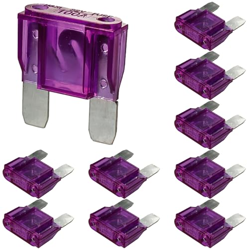 Maxi Blade Fuse kits-10 PCS 32V(12/24V) 100A Automatic Replacement Blade Fuse for Car/RV/Boat/Home et (100A)