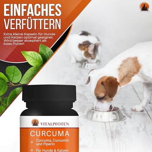 Vitalpfoten 75 Curcuma Kapseln für Hunde und Katzen mit Curcumin und Piperin, Ergänzungsfuttermittel sanfte Dosierung, Herstellung in Deutschland, höchste Reinheit und Qualität