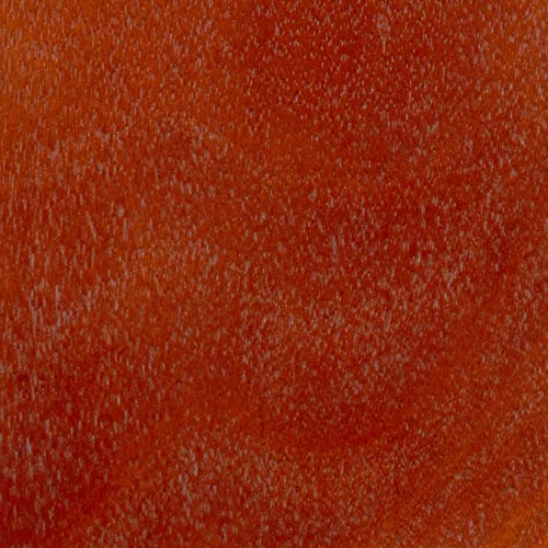Frenchi Home Furnishing 2 Tier Plant Stand, Mahogany #TOP3