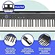 Axus AXD55 88-Tasten-Digitalpiano-Tastatur Mit Voll Gewichteten Hammertasten, Sustain-Pedal Und Hochwertigen Features Und Funktionen