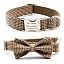 Brown Gingham