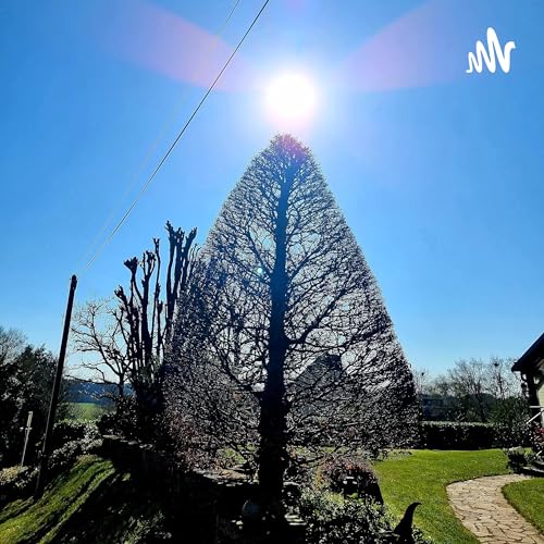 &Eacute;pisode 8: Trouver un appaisement relativement rapidement dans un moment de stress ou d'anxi&eacute;t&eacute;.