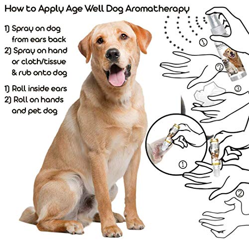 Image of The Blissful Dog Labrador Retriever Age Well Dog Aromatherapy Roll-On Bottle for Your Dog's Peaceful Ageing