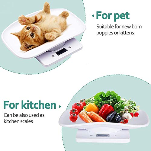 Balance de cuisine et petits animaux, écran LCD précis