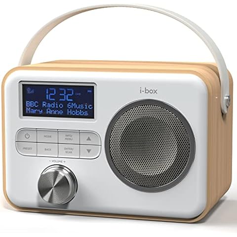 i-box Attune Portable DAB Radio and Speaker Cover