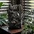 Alpine Corporation | 14"H Indoor Tiered Log Tabletop Fountain with LED Lights — Cascading Waterfall Design Creates Relaxing Ambiance for Home & Office Décor