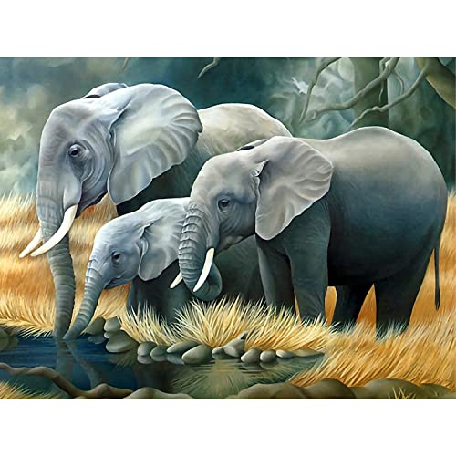 Diamond Painting Erwachsene Diamant Painting Bilder Kinder, 5D Diamond...