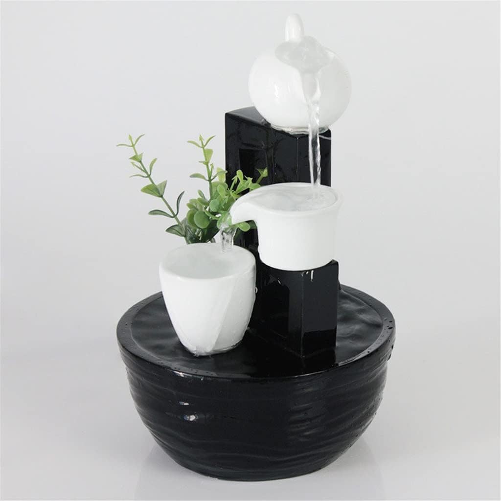 塊根性 ザミオクルカス ザミフォリア コーデックス 鉢のまま 塊根植物 塊根性 ザミオクルカス ザミフォリア コーデックス 鉢のまま 塊根植物