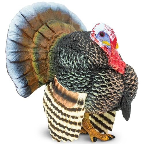Safari Ltd Turkey