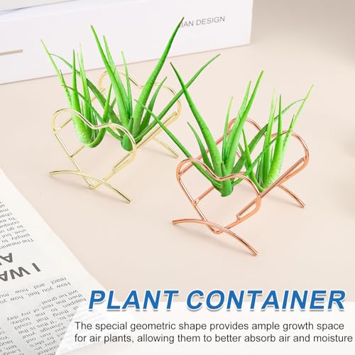 Support de séchage pour plantes à air et éponge de maquillage - 5