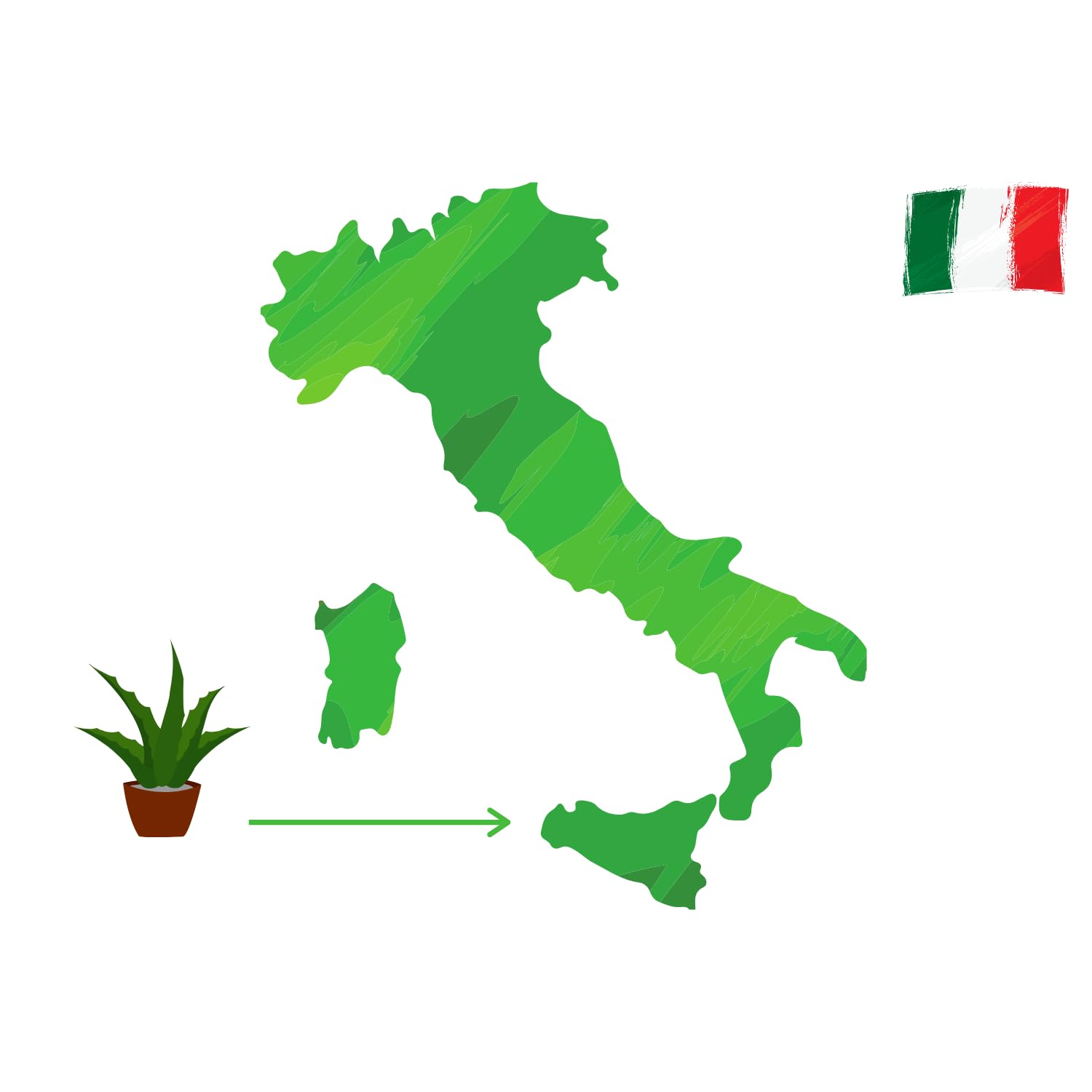 Vonderweid - Puro Succo di Aloe Vera Italiana Biologica | Integratore Alimentare Depurativo Digestivo Lenitivo e Nutriente con Aloe Vera da Bere | Non Filtrato | Made in Italy | 1000 mL