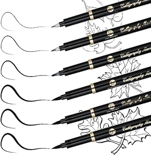 Welsberg Premium Calligraphy Pens Set, Pack of 6 Water-based Color Ink Pens, Marker Pens in 4 different nib sizes for Beginners or Professionals in Calligraphy, Writing, Hand Lettering Drawing Design