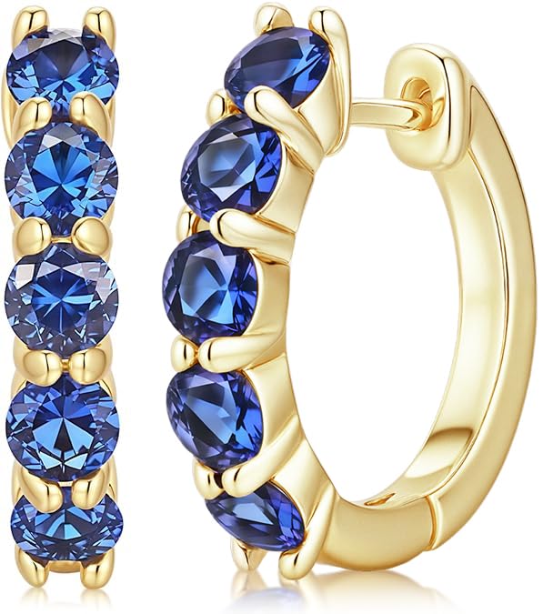 Evabelle Gold Hoop Earrings for Women 14K Real Gold Plated Cubic Zirconia Diamond Hoop Earrings Huggie Hoop Earring Women Earrings Earring for Men 925