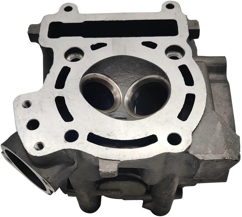 Water Cooled Engine Cylinder Head Assy For LH250 260 Scooter ATV UTV 22401A YP250
