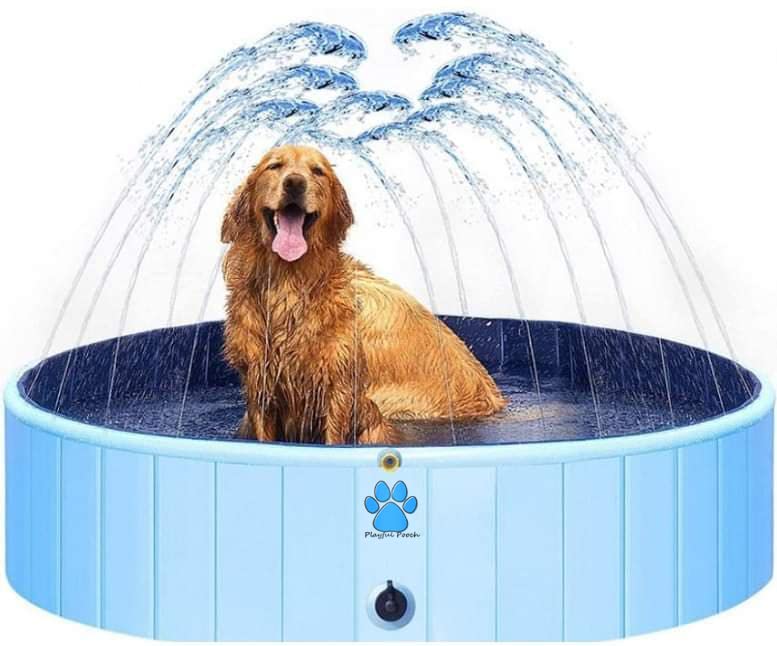 Amazon.ca Best Sellers The most popular items in Portable Dog Bathtubs
