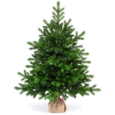 EveXmas- Altair -95cm- Hochwertiger künstlicher Weihnachtsbaum Cover