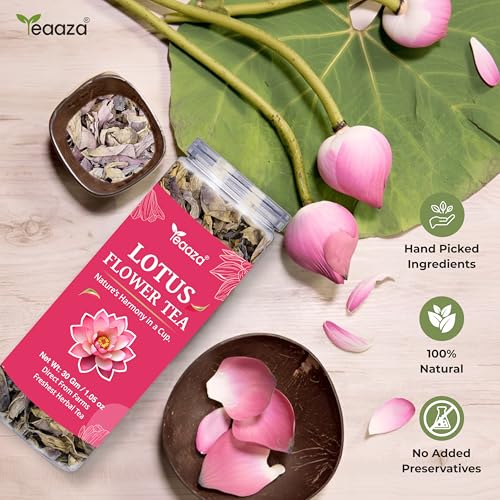 Image of Teaaza Lotus Flower Tea - 30g (60 Cups) | Herbal Caffeine-Free Detox Tea for Sleep & Relaxation | Reusable Pet Jar | Twice Steepable