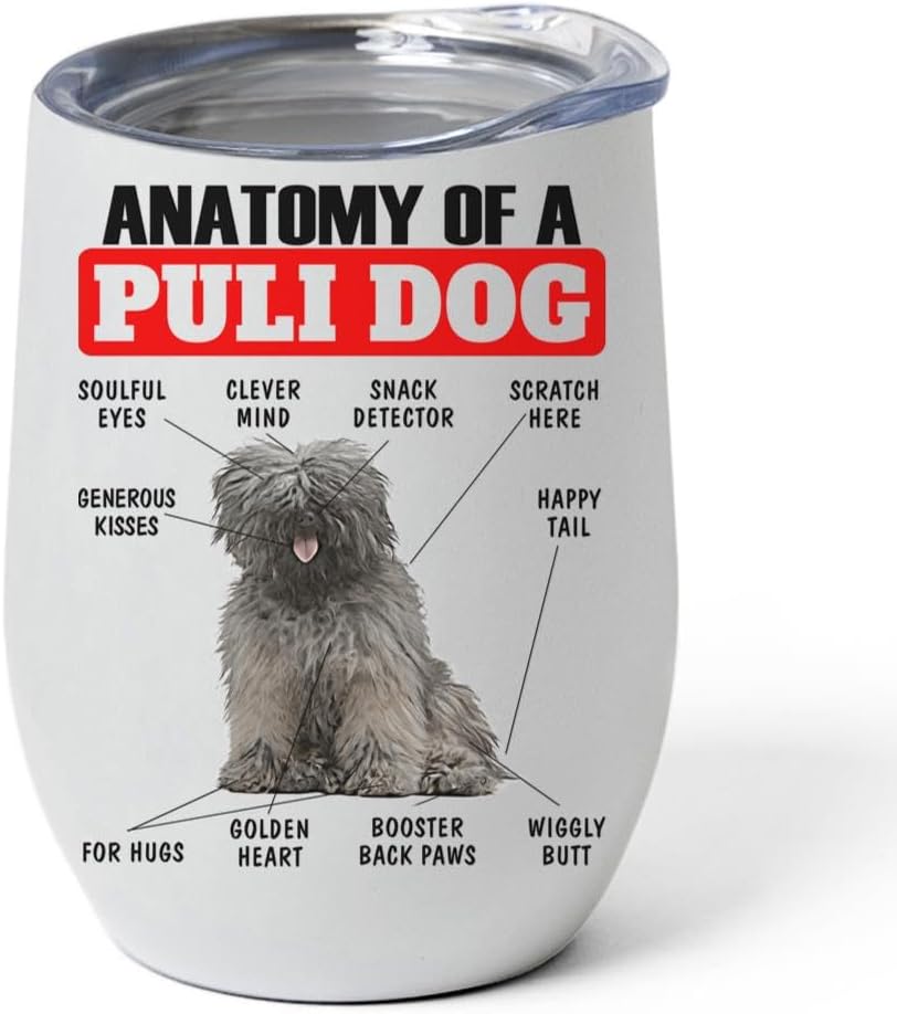Silver Puli Dog Tumbler 12oz - Funny Anatomy Chart Design - Stainless Steel Vacuum Insulated Wine Cup With Lid - Gifts for Dog Lovers