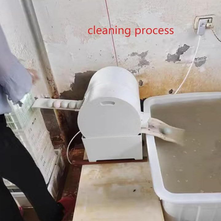 Myjka do jajek, automatyczna myjka do jajek, elektryczna myjka do jajek 220 V, pralka do jajek z kurczaka, kaczki, gęsi do gospodarstwa domowego