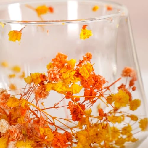 Image of Nestasia Double Wall Glass Mug with Dried Flowers Set of 2 (180ml Each) - Transparent Borosilicate Floral Glass Tea Cups | Lightweight & Durable Coffee Mugs - Perfect for Gifting (Yellow & Orange)