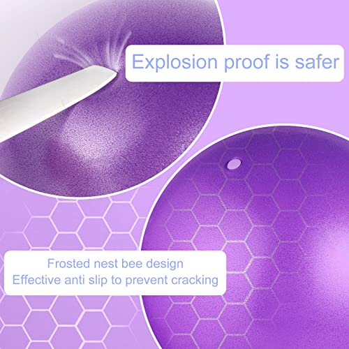 image for Pimoys Pilates Ball, 9 Inch Small Exercise Ball Workout Ball Core Ball