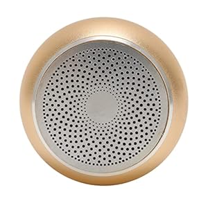 Draagbare Draadloze Luidspreker, IP67 Waterdichte Automatische Verbinding Bluetooth Kleine Luidspreker met Oplaadkabel Lanyard voor Ruimte voor Fiets (Goud)