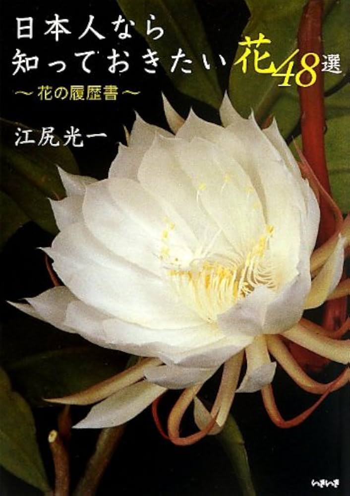 つきはなページ 楽天市場】【正規品】KOSO汎用LEDナンバー灯[SPEED]KLX230S