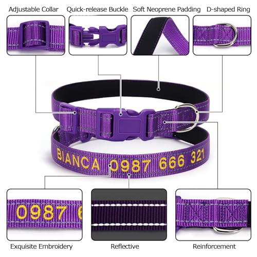 Weiches Neopren-Hundehalsband mit Polsterung & personalisiertes Nylon-Haustierhalsband mit Quick-Release-Schnalle und individueller Stickerei für Name und Telefonnummer, Türkis