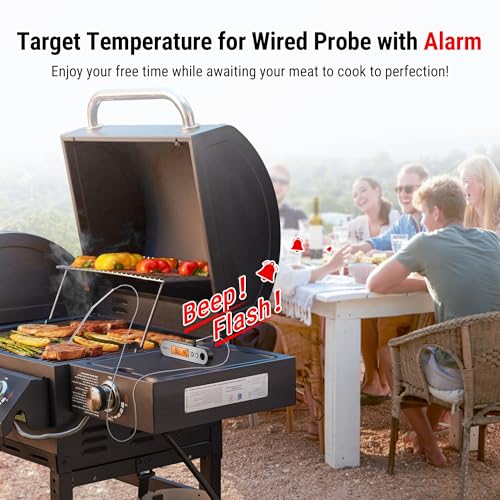 Image of ThermoPro TP610 Dual Probe Digital Instant Read Meat Thermometer Cooking Kitchen Smoker Food Thermometer with Backlight Waterproof for Steak Oven BBQ Grill Thermometer