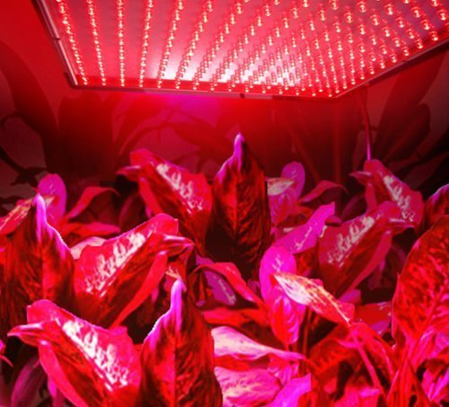 image for HQRP 660 nm 14W 225 LED Pure Red Grow Light Panel for Growing Flowers 