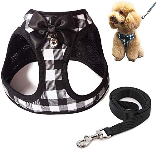 [h n[lX Q_Zbg L TVc   ybgpi ^ ^  L m LbgEFA hbOEFA (ubNzCg)