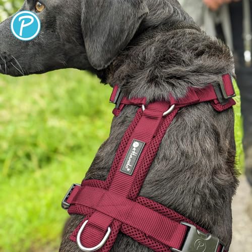 Petlando Hundegeschirr Mesh Y-Comfort, komfortabel, leicht & atmungsaktiv, stufenlos einstellbar, Farbe Bordeaux, Größe M (Halsumfang 46-74 cm, Brustumfang 50-74 cm), Brustgeschirr Hund mittelgroß