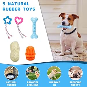 Puppy Chew Toys for Teething, 26 Pack Dog Chew Toys Puppy Teething Toys, Interactive Dog Rope Toys with Bin, Dog Toys for Small & Medium Dogs