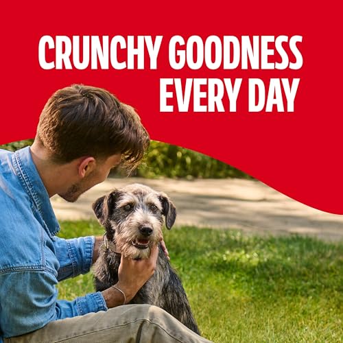 Image of Milk-Bone GravyBones Dog Biscuits, Gravy Coated Small Dog Treats, 7 Lb. Box