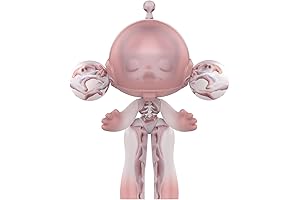 POP MART Blind Box MEGA SKULLPANDA 1000% Entangled, Mysterious Design Toys Collectibles