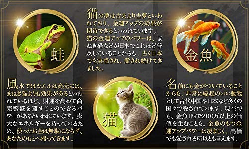 お金がカエル 縁起物 金運アップ マネー、カード クリップ お金がカエル 縁起物 金運アップ マネー、カード クリップ