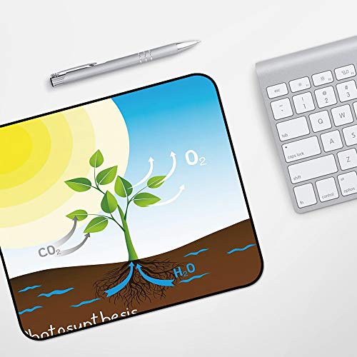 Preisvergleich Produktbild Gaming Mousepad Mauspad,Pädagogisches, einfaches Photosyntheseschema Pflanzensonnenmoleküle Chemisches Kettenwachstum Ökologie Dekorat,Komfort Mousepad - verbessert Präzision und Geschwindigkeit