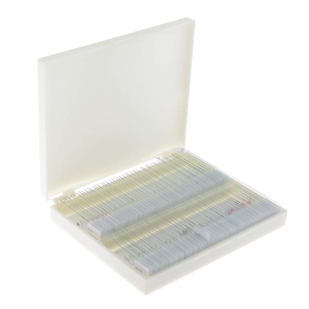 100 Stück Mikroskop Objektträger Deckgläser Biologie Experiment Laborbedarf