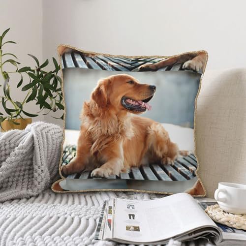 Housse de coussin Golden Retriever en velours doux pour déco salon - 7