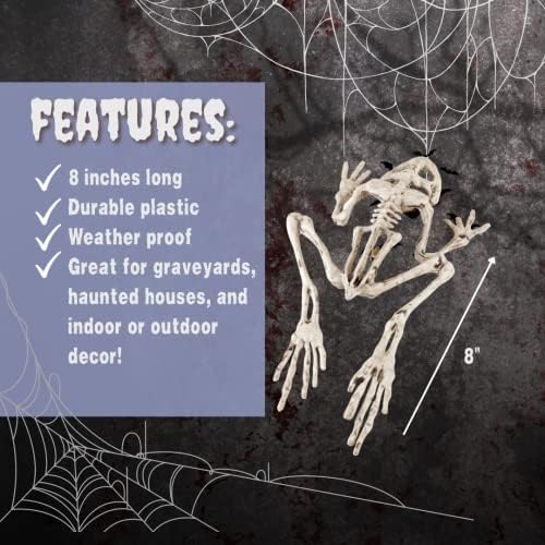 51vh816GmBL._AC_ Frog Halloween Skeleton (Pack of 3) - 8" Long Weatherproof Yard Decorations, Great Graveyard Prop for Party Decoration and Indoor Outdoor