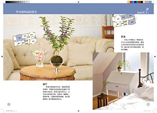 Amazon Com 苔玉制作与欣赏 日本绿景工作室编著 Libros Amazon Com 苔玉制作与欣赏 日本绿景工作室编著 Libros