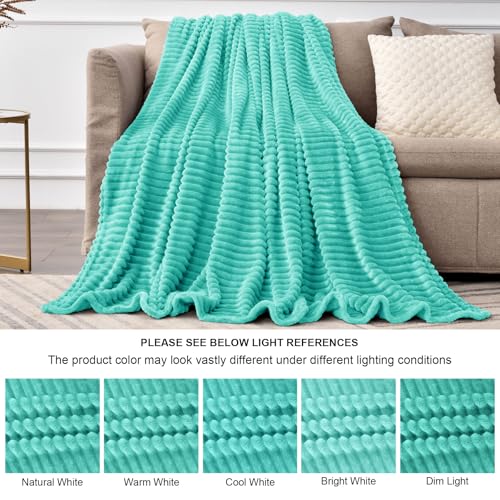 Image of BEDELITE Fleece Throw Blanket for Couch - 3D Ribbed Jacquard Soft and Warm Decorative Fuzzy Blanket - Cozy, Fluffy, Plush Lightweight Aqua Throw Blankets for Bed, Sofa, 50x60 inches